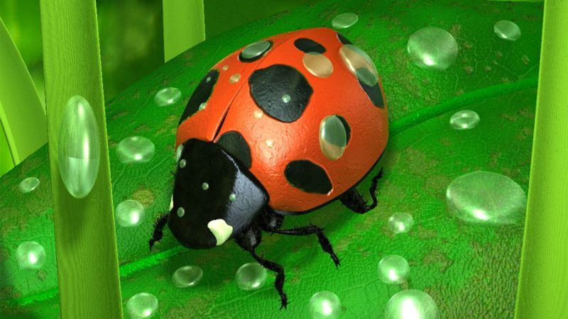 Lady Bug – PatchWork3d